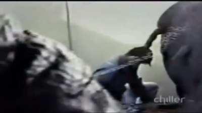 Ever gotten this shitfaced?