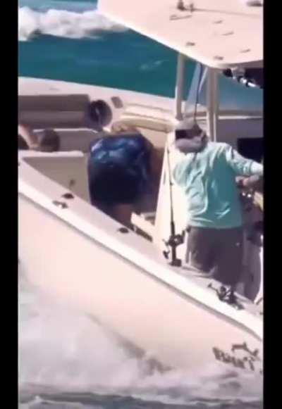 WCGW Feeling a bit sick are you ?