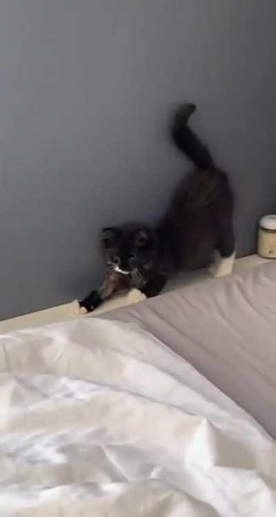 Kitty trying to get up