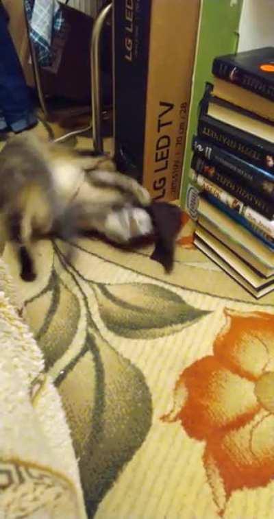 Чем бы дитя ни тешилось, лишь бы провода не грызло