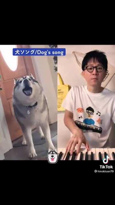 Doggo sings song of tragedy