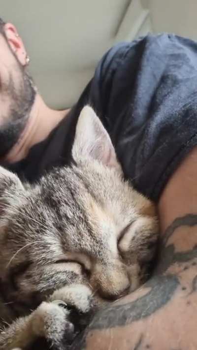 MaN bRuTaLlY mAuLeD aNd EaTeN aLiVe By FeRoCiOuS fEliNe bEaSt