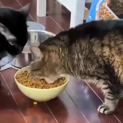 When you’re extremely hungry