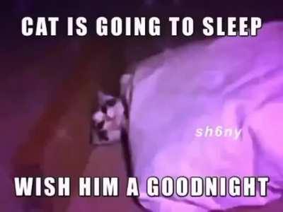 Buenas noches en gringo mi pana