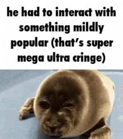 Imagine liking something that’s cringe (don’t look at my pfp)