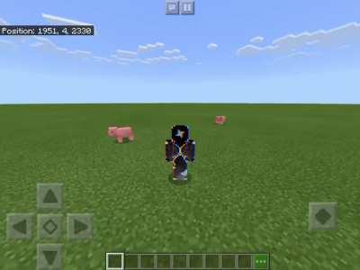 So I installed a Naruto Run resource pack