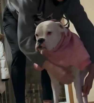 I guess we're going to keep doing this hoodie thing.