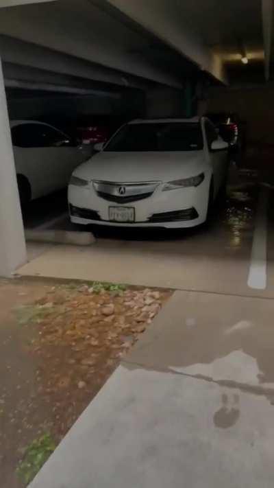 Of all the places to park!