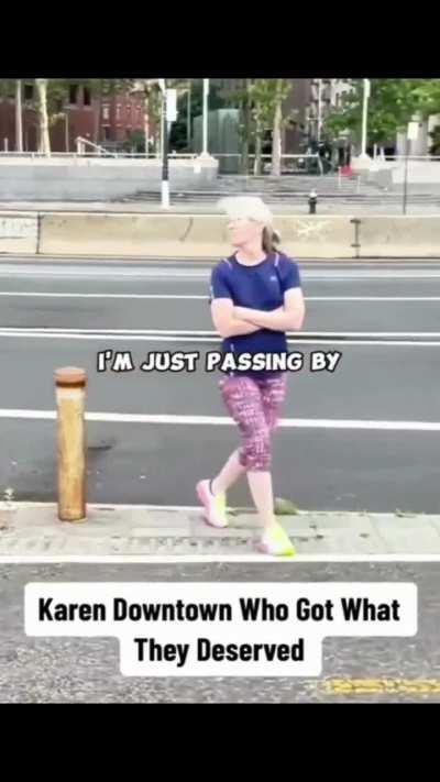 Karen calling a stranger’s dog out into the road to prove a point