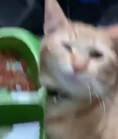 Утро доброе. Хорошо хоть пятница, а не понедельник.