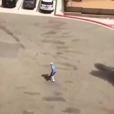 abrupt tom and jerry scream