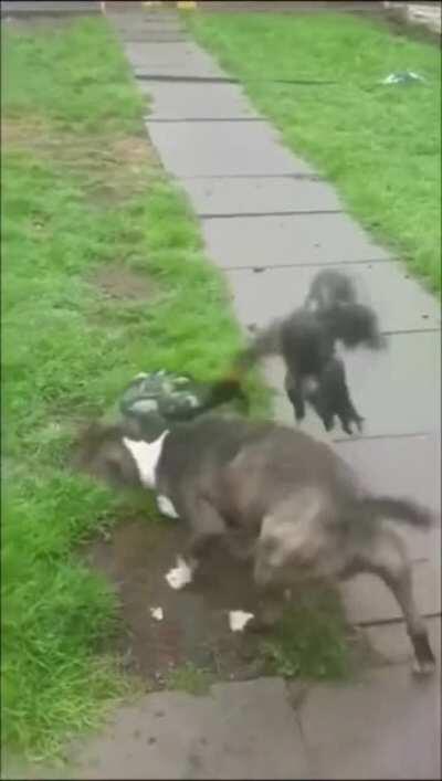 Don't be rude in my area