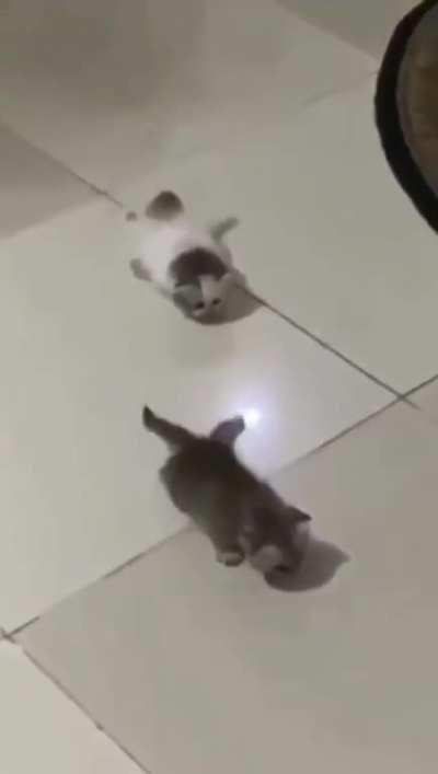 Smol criminal trying to escape prison