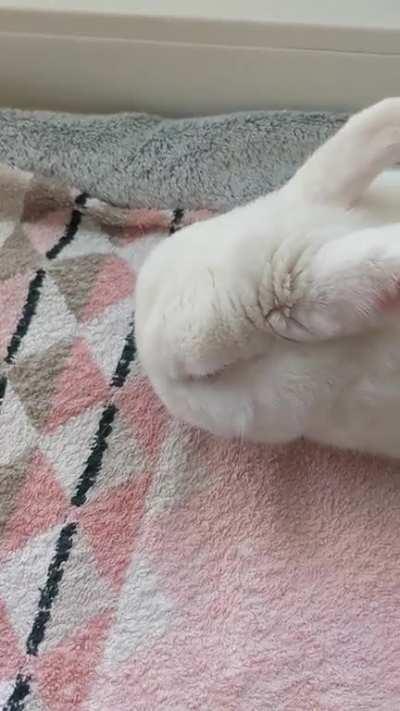 As per request, blueberry dreams 