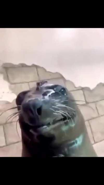 Bro who got you smiling like that..?