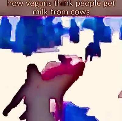 PETA Moment (X-post from r/nukedmemes by u/TKalig)