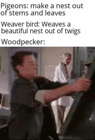 They also do that for prey and mating