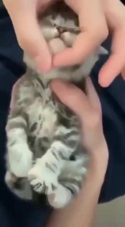 See the legs...adorable