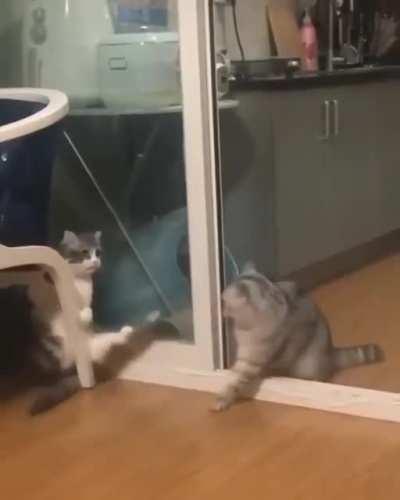 When You Think The Screen Door Is Closed