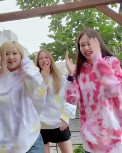 pinks supporting their maknae