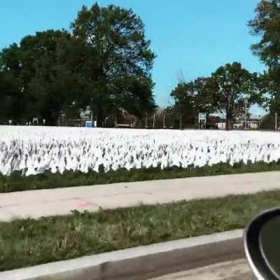 Reason to vote out POS POTUS 231,000 dead Americans