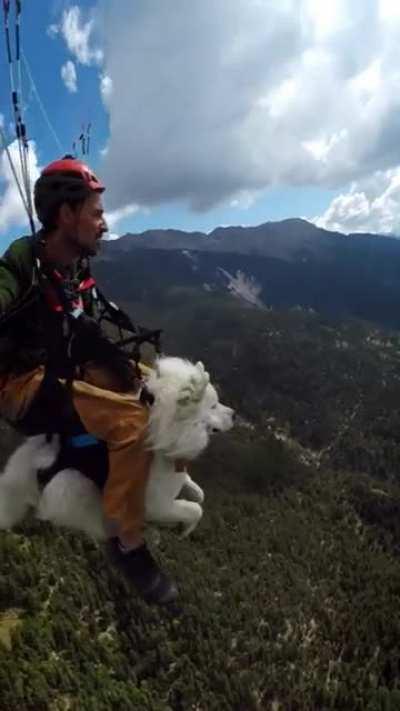 Sky diving : Floating with a furry buddy