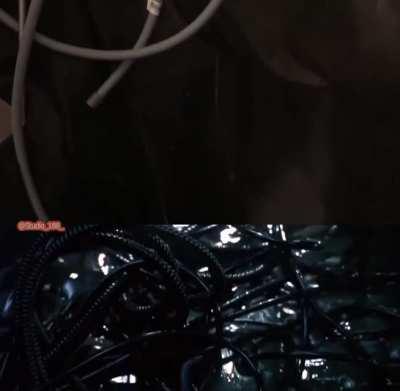 Матрица. Малобюджетная версия