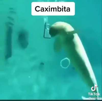 Caximbita 😎☠️😼😈