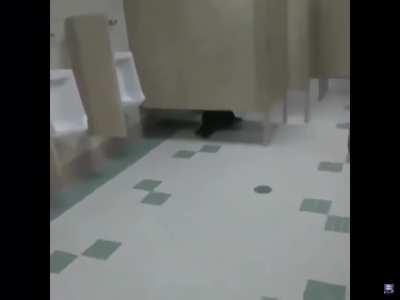 the agony (credit in comments)