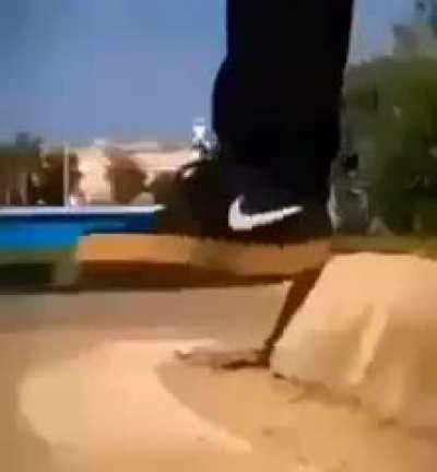 Danes encountering even the slightest change in elevation