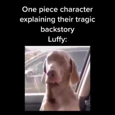 I’d be crying if I looked like that too bruh that’s fucked up what they be doing to y’all I ain’t even gone hold you bro I be saying that’s fucked up like bro you probably had the full wash and set ya shit be fire prolly if they ain’t cut your shit fuck i