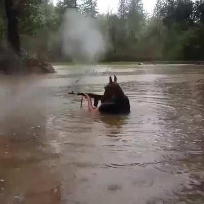 How do you explain this