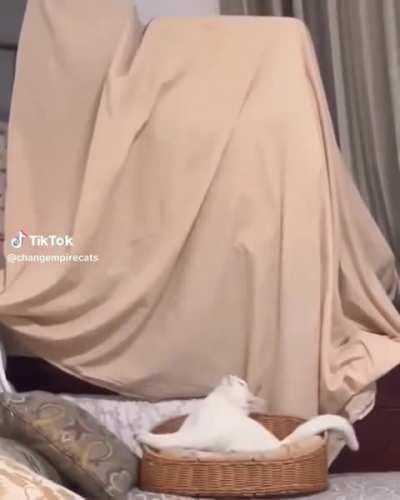 it fell but it remained calm hhh