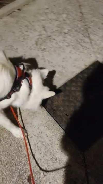 И так каждый раз на телеком... Кто может объяснить?