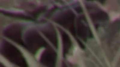 Thickest ass in rust