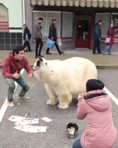 Он не кусается