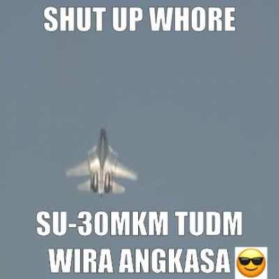 Interested in fighter jets lately, so much that i made some sort of meme with it or something
