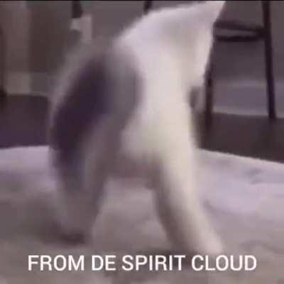 random saved things day 14