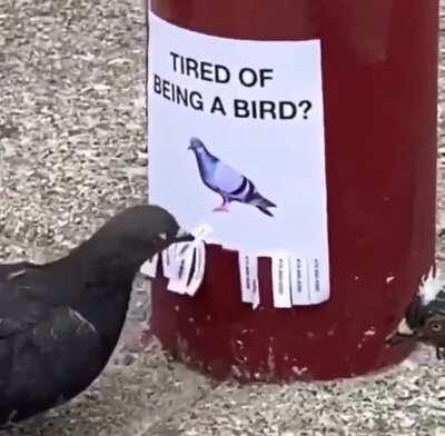 Resolvendo problemas existenciais