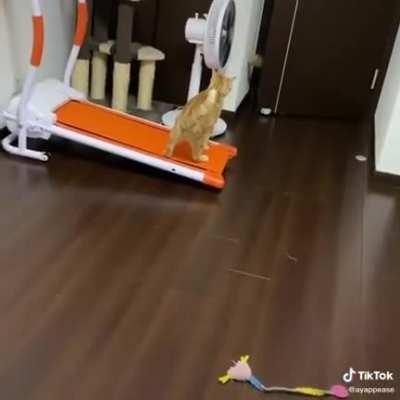 Рота подъëм!