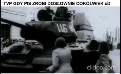 Incele: bezwarunkowo kochające partnerki nie istnieją, prawdziwa miłość to mit. Ja: