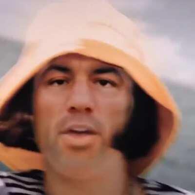 Lets gets some banned Joe Rogan memes going!