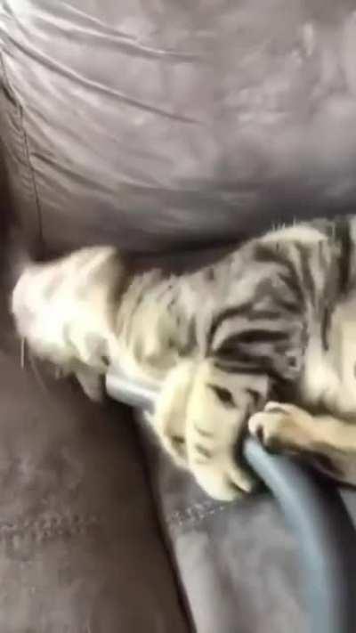 Cat.exe found malware, trying to remove