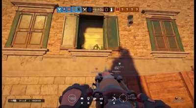 Armaru's Gained a bit of weight