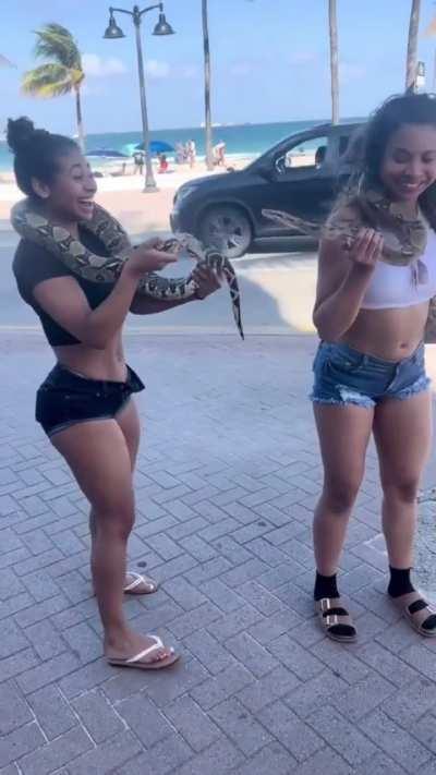 Elizabeth Mira (@_isabellamira)