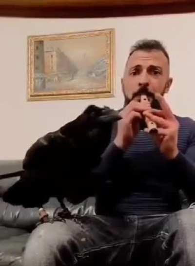 Would you buy their album?