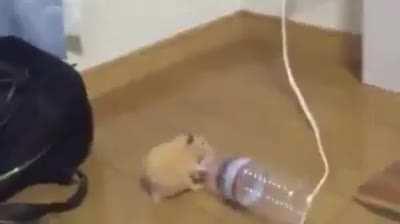 I'm trying to download thsi