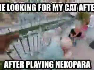 but my cat so sexxy tho 🥵🥵😳😋