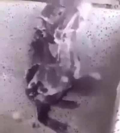 Galeriden çıkanlar part 2