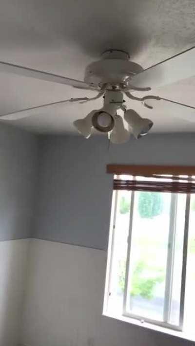 My ceiling fan today